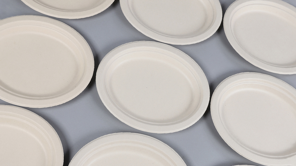 纸浆模塑 纸浆模塑