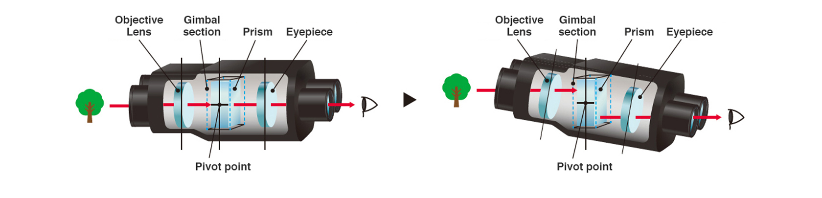 [image] A breakdown of the different parts that make up electronic gyro stabilizing system of the Techno-Stabi Series