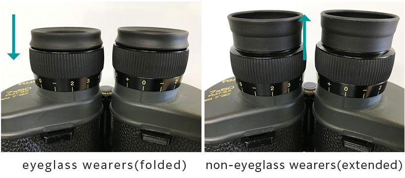 [photo] eyeglass wearers (folded)/non-eyeglass wearers (extended)