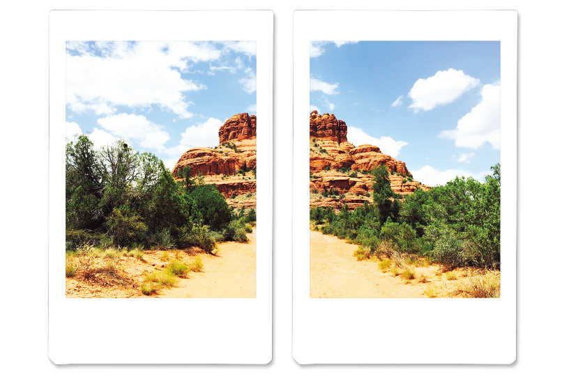 Image of one image split into two pictures