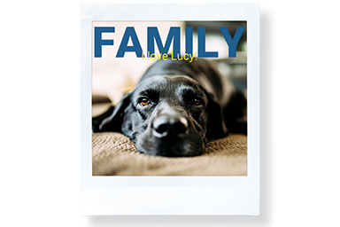 Picture of a dog with text "FAMILY"