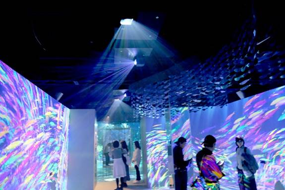 [photo] Small groups of visitors standing around in dimmed room, while overhead projectors project colorful schools of fish unto blank, white walls.