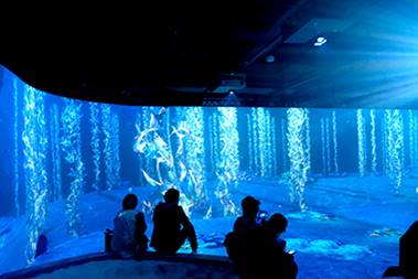 [photo] Small group of visitors sitting down together in front of wall with blue, ocean-like colors and images of fish and ocean plants