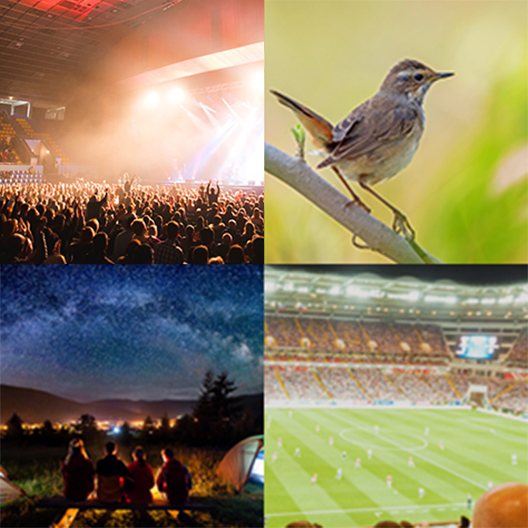 [photo] Various Applications