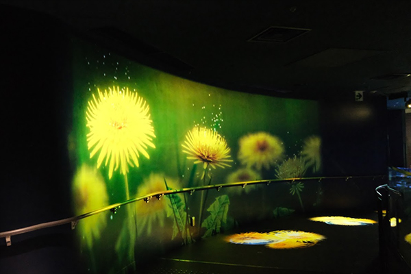 [photo]Dandelions and Jellyfish at Sumida Aquarium
