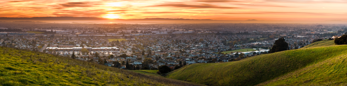 City skyline from top of a hill