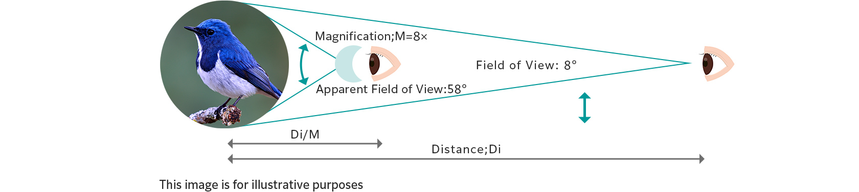 [image] Apparent Field of View