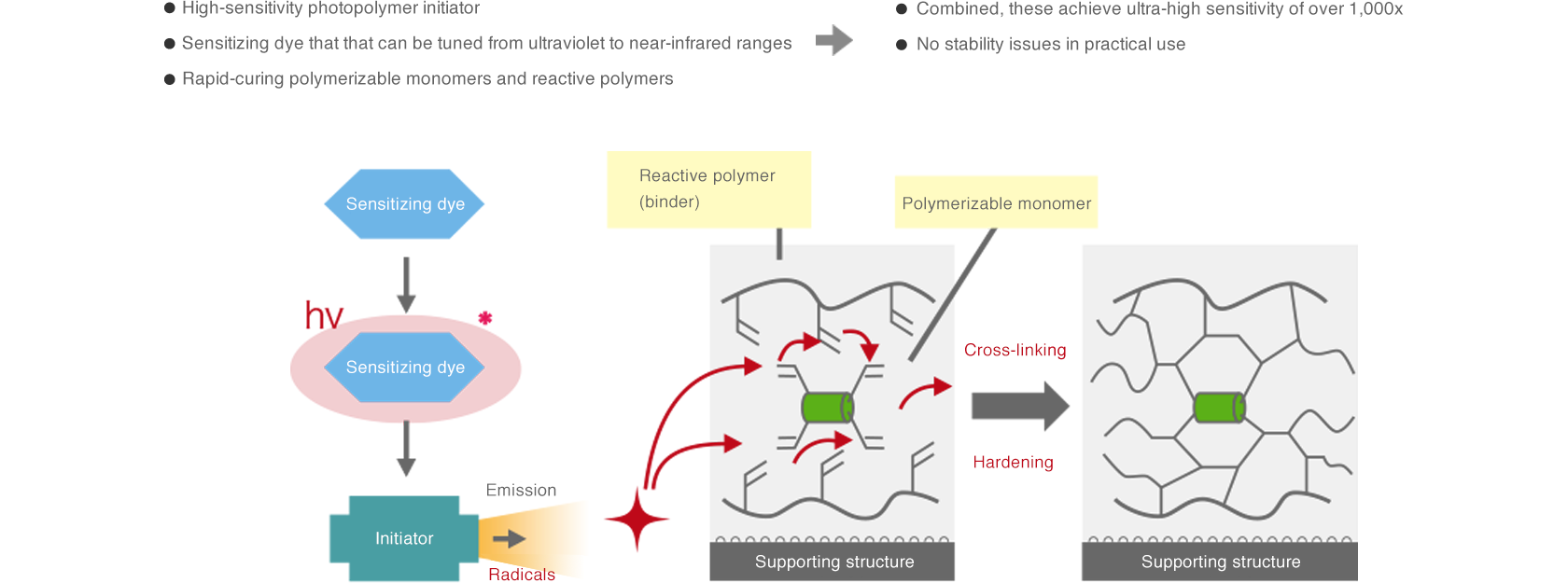 The radicals generated by light irradiation initialize the reaction with polymerizable monomers and reactive polymers. The reaction causes changes in the physical properties.