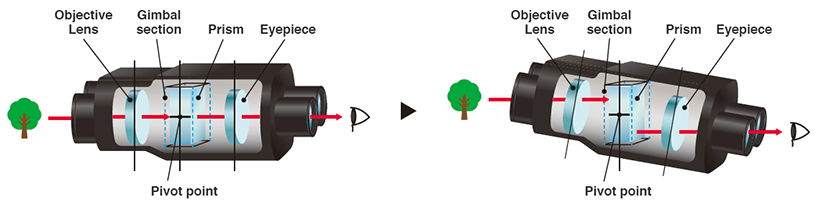 [image] A breakdown of the different parts that make up electronic gyro stabilizing system of the Techno-Stabi Series