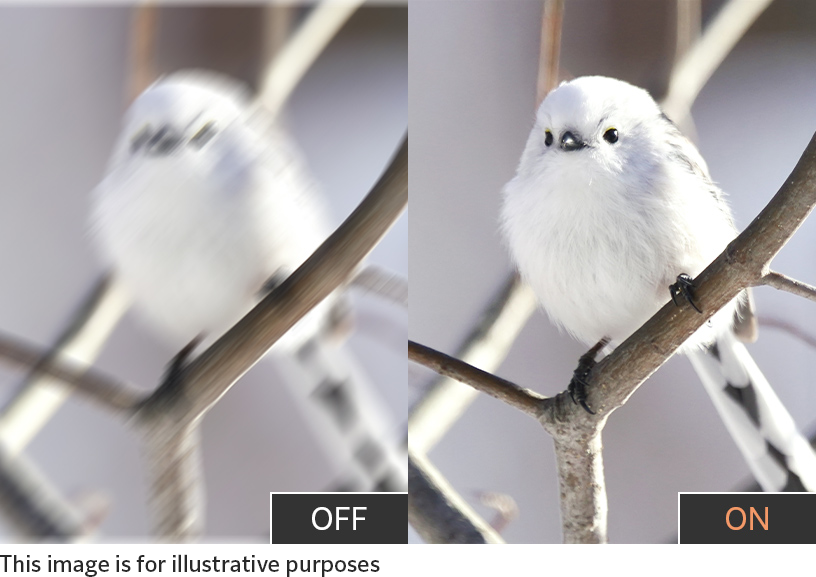 [image] Vibration correction performance image