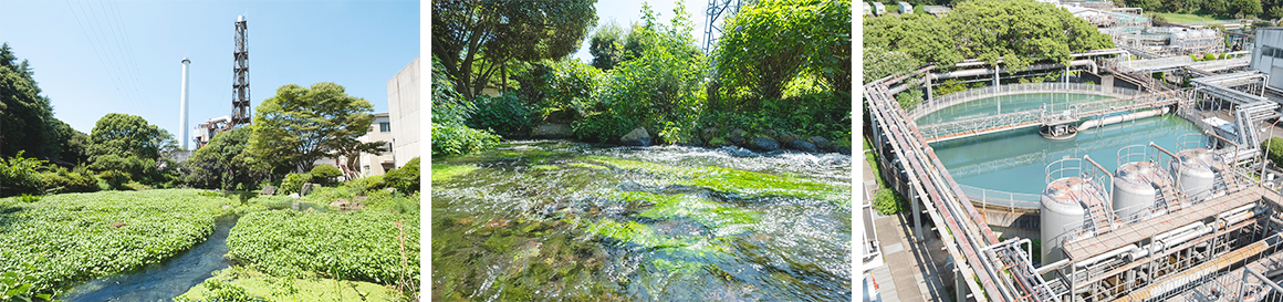 Lush green pond inside the plant. Surface of the creek. Aerial view of the factory facilities.
